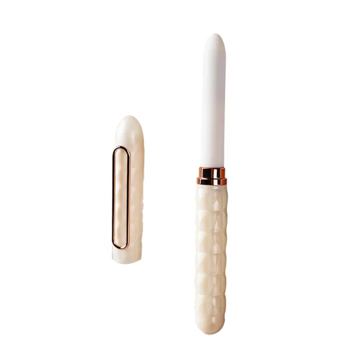 The Hidden Joy Pen Vibrator FRISKY BUSINESS SG Female Sex Toys